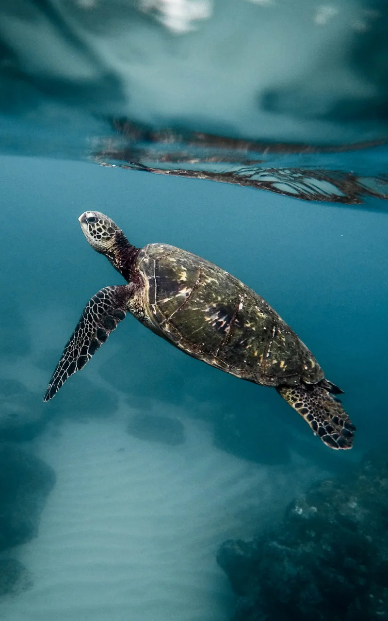 B2B-Marketing im Jahr 2026: Was sich tatsächlich ändert und was nicht